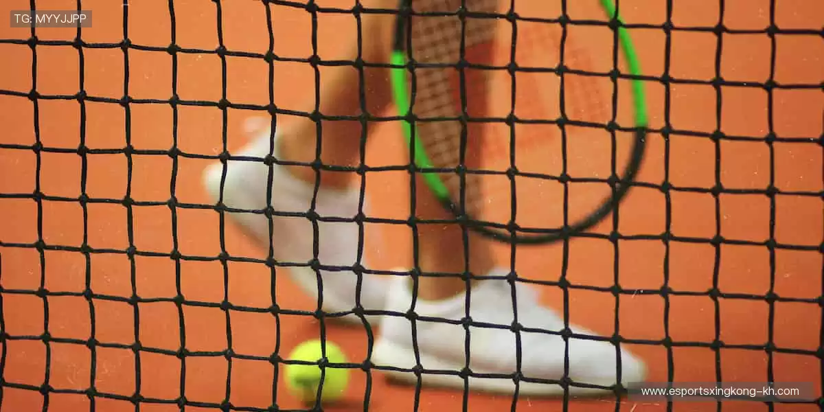 🎯 专业装备，让你的每一次挥拍都精准如冠军！